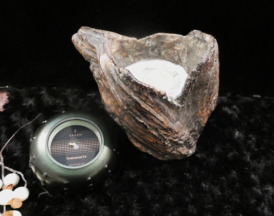 Driftwood Candle Statement Decor